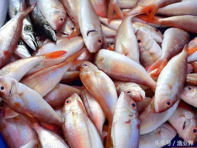 世界十大海鲜市场排名,世界最大的海鲜市场日本