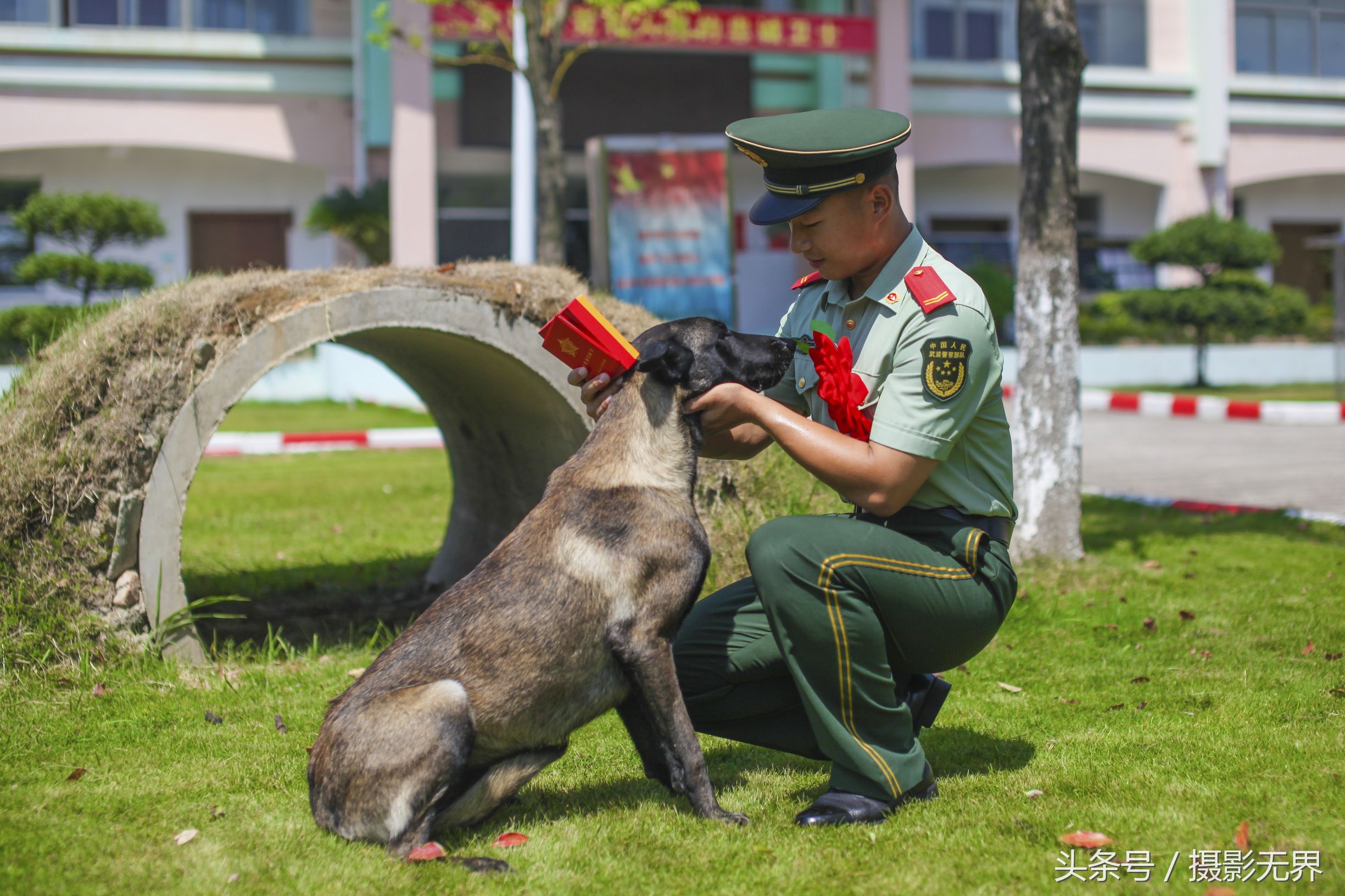 又是一年退伍季又到离别军营时,退伍了让我们再次听一次军号
