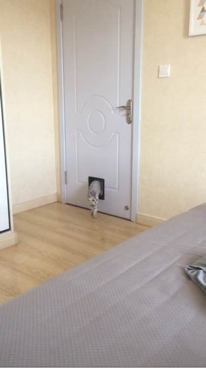 门上面开了个洞,网友房间偷偷搞了一条隧道密室