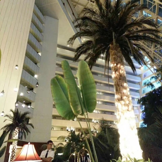 学姐学长的朋友圈,飞过一整个世界