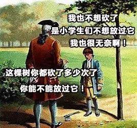 不要被假象所骗作文800字,不要被外表所欺骗作文