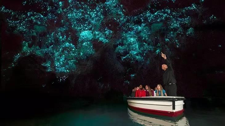 新西兰南+北岛8日自驾路线，像风一样自由！