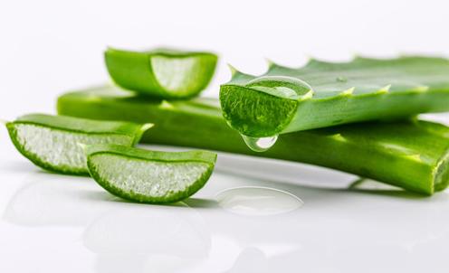如何自制芦荟面膜自制芦荟面膜轻松补水保湿美白祛斑