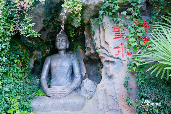 历史底蕴与现代繁华在此交融,历史与现代并存的城市