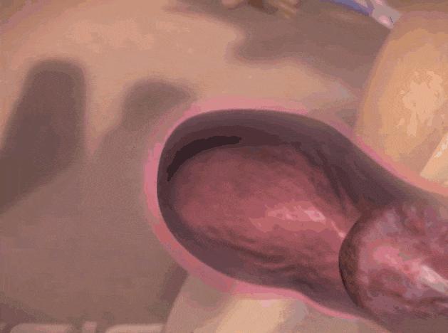 顺产到底有多疼看完你就知道了,顺产到底有多痛看完扎心了