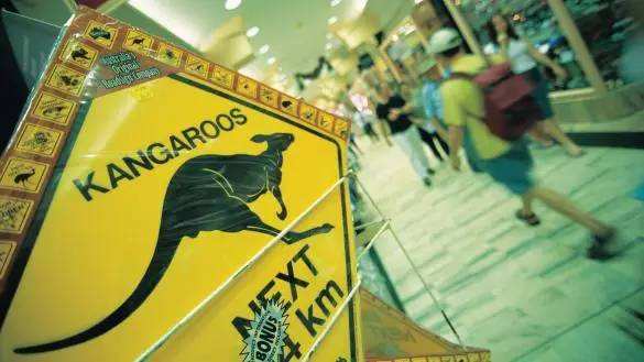 澳洲最值得入手的10款保健品,给我带回来澳洲必买品清单