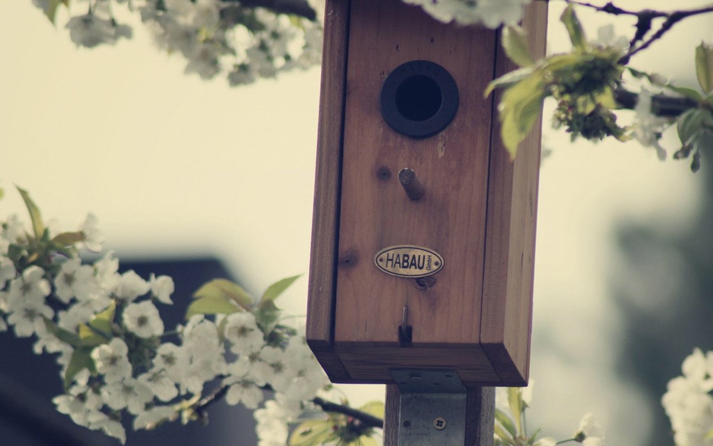 说话做事反应慢半拍怎么办,和慢半拍的人怎么相处