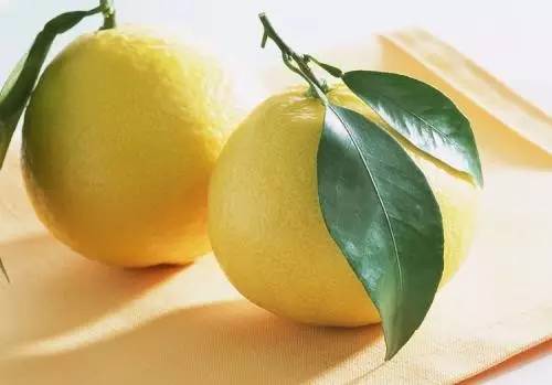 吃什么水果才能减肥最快,水果什么时间吃有助于减肥