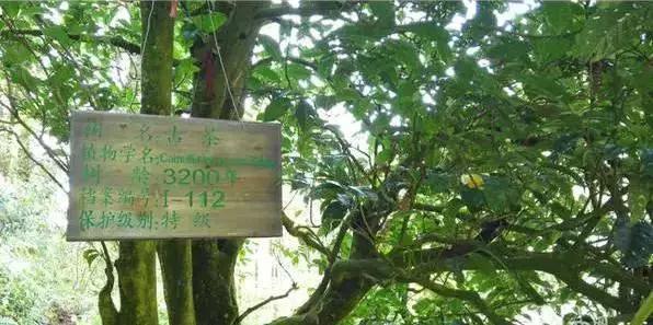 贵州方言笑死人的句子,贵州方言笑死人了