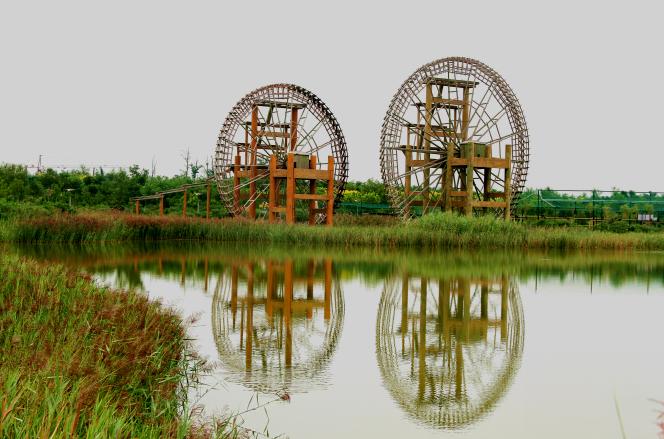 滨州鸟类湿地公园,滨州北海凤鸣鸟类公园