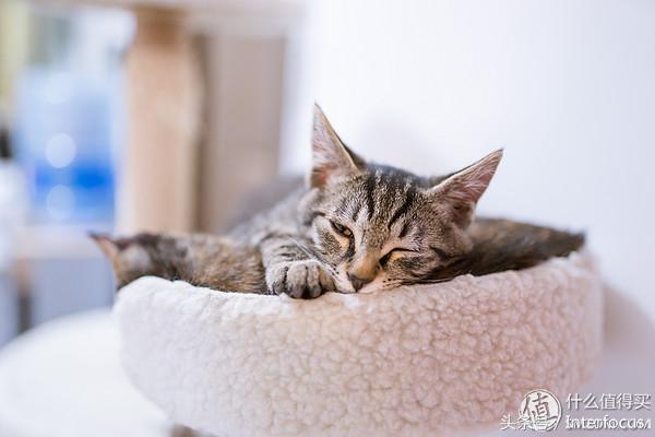 初入摄影应该必备哪些镜头,初入摄影该怎么选相机