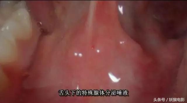 最震撼的纪录片bbc人体的奥秘,人体科普纪录片top10