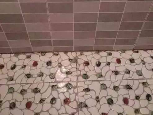 世界上有一种美叫父母,世上有一种美叫大自然的美