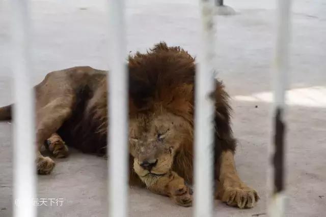 三亚合适小朋友玩的景区,三亚儿童旅游