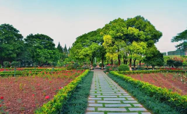 非沪籍落户上海最新政策,上海金山非沪籍放开政策