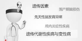 癫痫的护理ppt课件,癫痫病人的护理要点