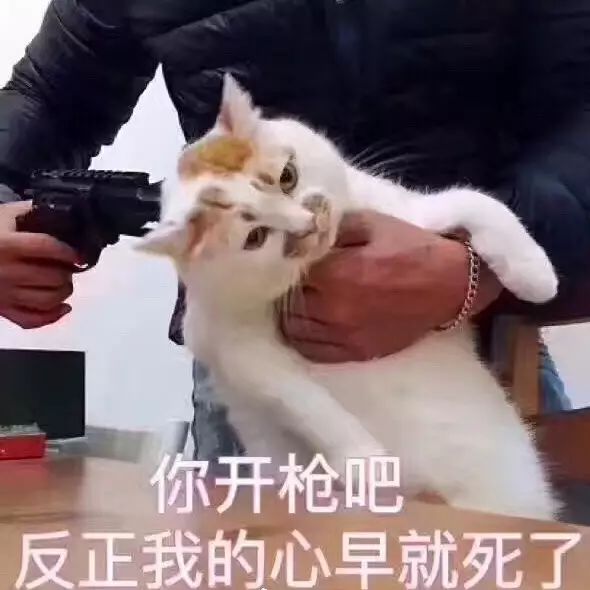 2021全球最美面孔前十中国女明星,2020全球最美面孔刘雯