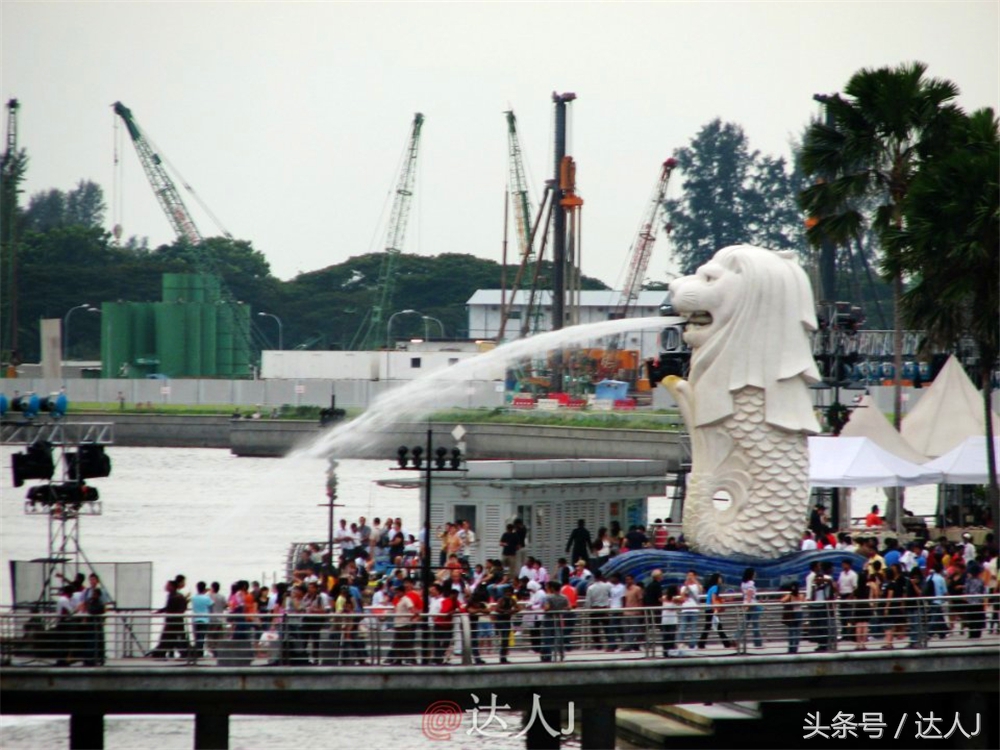 达人J:新马声色任逍遥