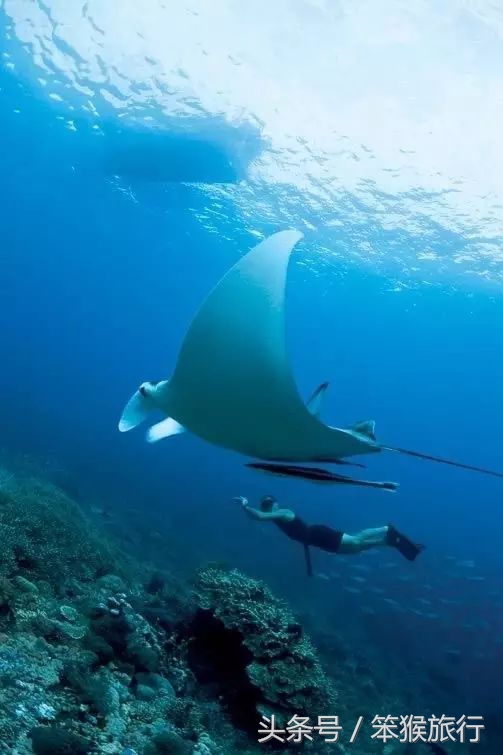 适合潜水的东南亚海岛,可以免签的冷门海岛