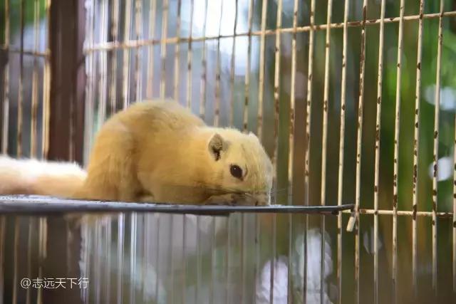 三亚合适小朋友玩的景区,儿童度假旅行三亚