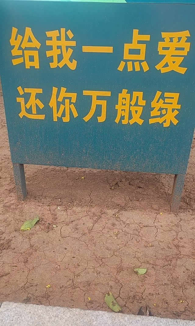 段子十则四十二期,段子十则