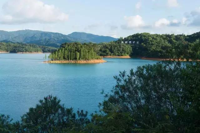 不愧为中山的生态保护区,镜头下的五桂山竟然这么美