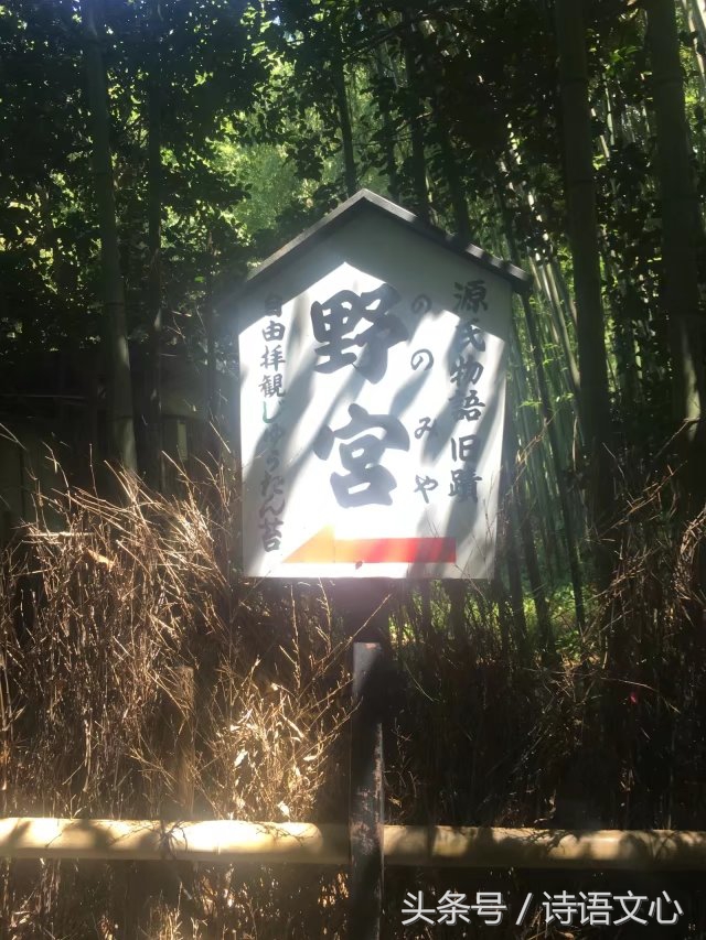 暑假带娃去部队看亲人,带娃去拉练