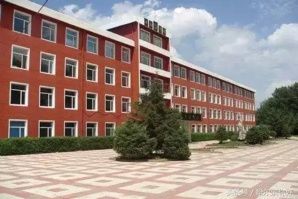 哈尔滨几月份去最舒服,哈尔滨哪个地方好玩住的地方便宜