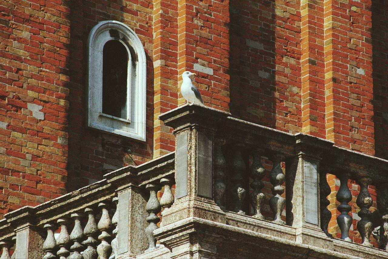 教师节旅行,教师节的旅行