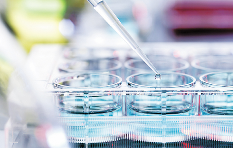 进口食品出现质量问题消费者找谁,进口食品质量出现问题怎么办