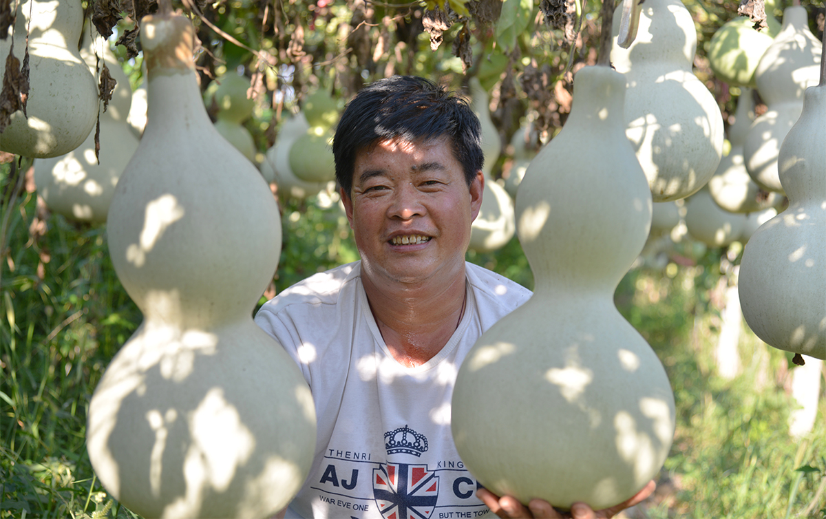 现代版的《葫芦娃》在咱南贾镇上鲁村精彩实景演出，您也过来看看