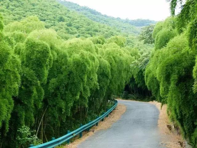 深山原始村落自驾游,大山深处古老村落自驾游