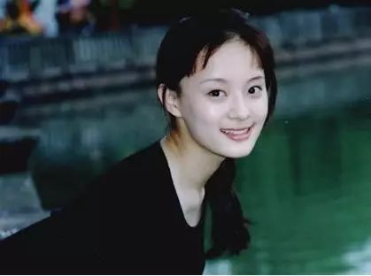 孙俪一共演过多少部剧,甄嬛传孙俪演不出少女感