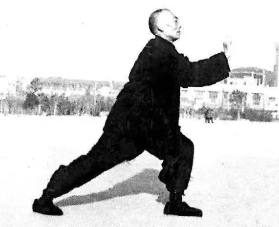 杨氏太极拳领军人物,武术高手盖世功夫