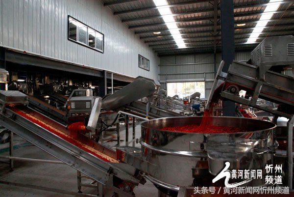 忻州辣椒之乡产业,中国忻州辣椒产业园区