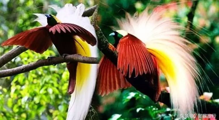 适合潜水的东南亚海岛,可以免签的冷门海岛