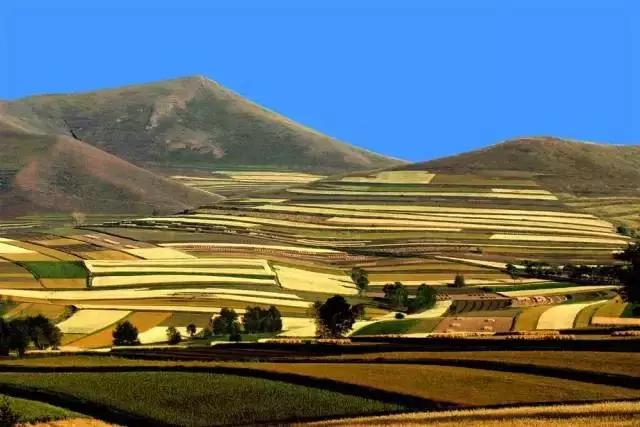 张家口之夜景色真的很美,从来没有见过的张家口美景