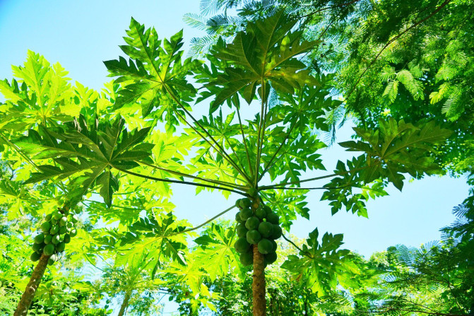 带着父母和宝贝去三亚旅行,带宝贝去三亚旅行