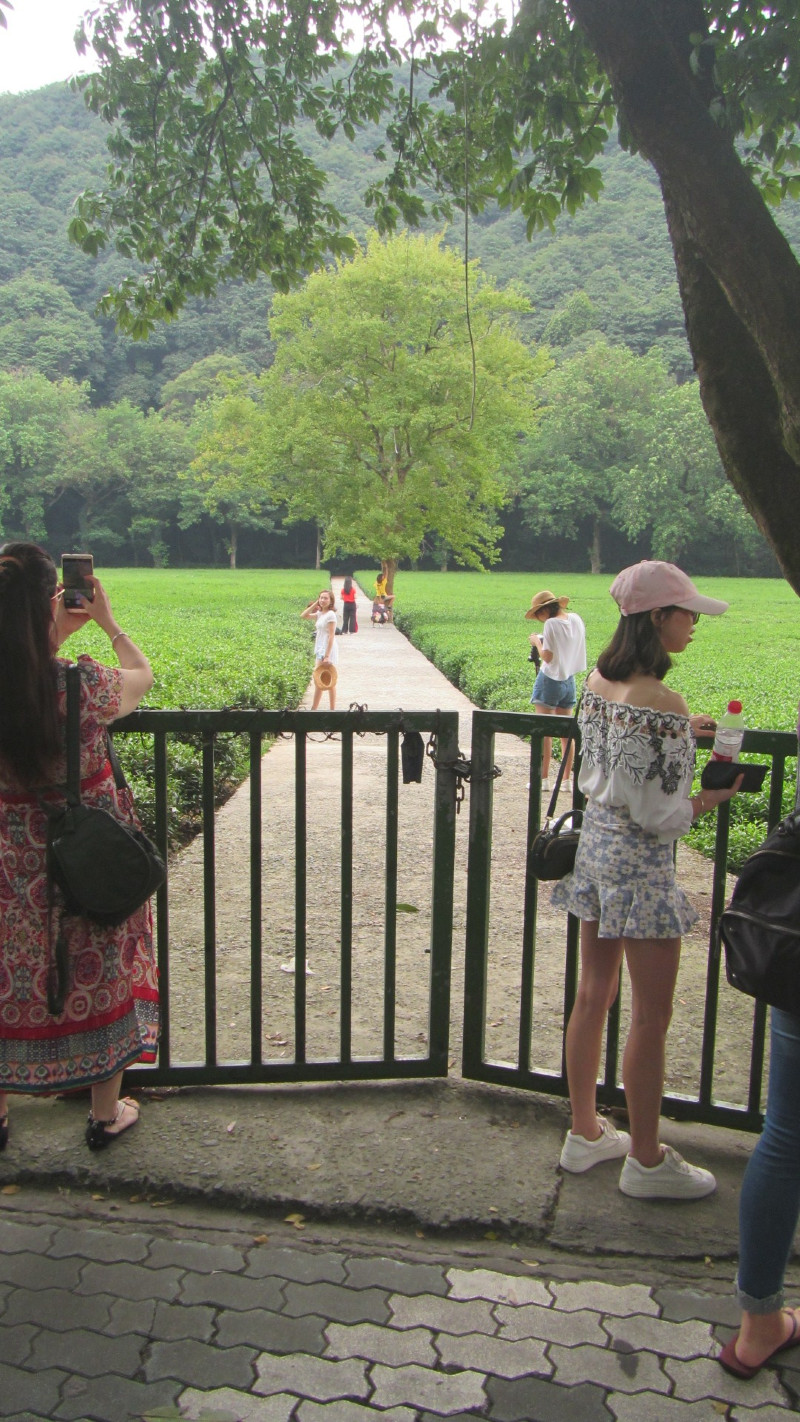 苏州西塘乌镇二日游团从杭州出发,苏州西塘乌镇二日一夜