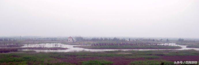 浙江玉环漩门湾国家湿地公园灯光,浙江玉环漩门湾湿地公园拍鸟