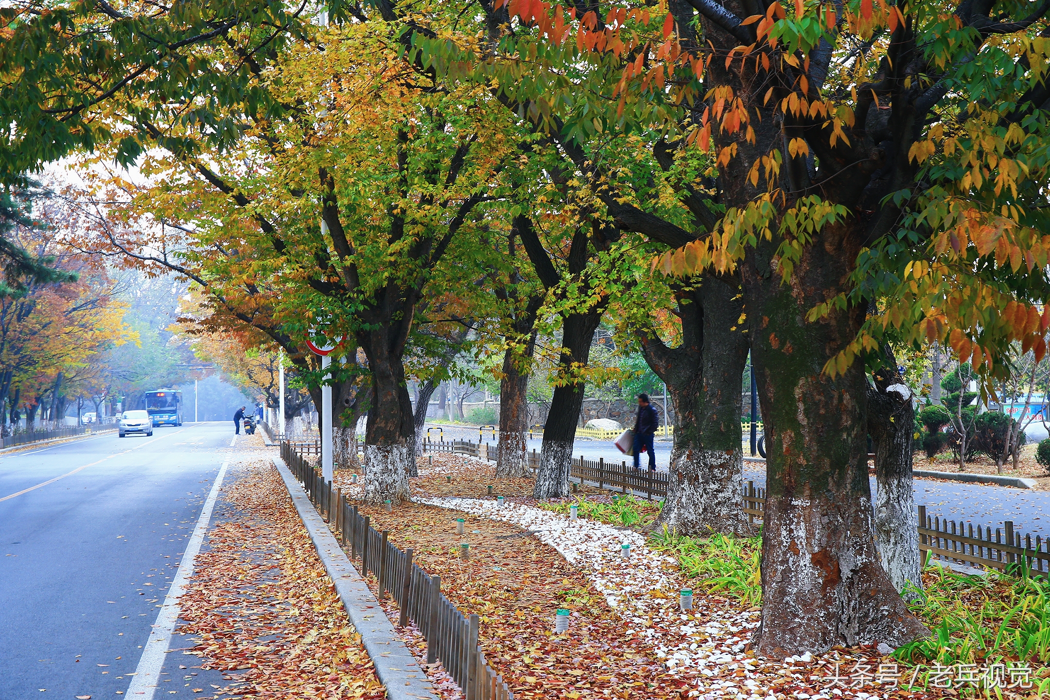 大连的秋天,大连附近秋天值得去的城市