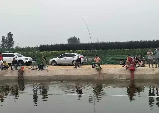 行营钓鱼节,行营钓具比赛视频