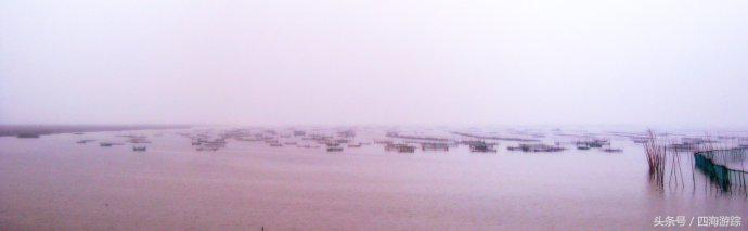 浙江玉环漩门湾国家湿地公园灯光,浙江玉环漩门湾湿地公园拍鸟