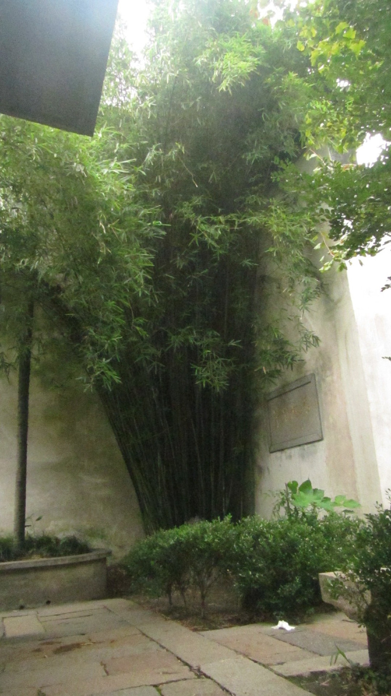 苏州西塘乌镇二日游团从杭州出发,苏州西塘乌镇二日一夜