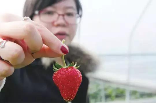 农产品品牌命名,如何推广农产品的品牌文化