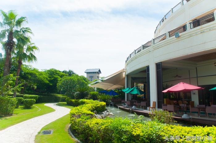 玄学大师香港李居明,李居明大师讲聚宝盆应该放啥