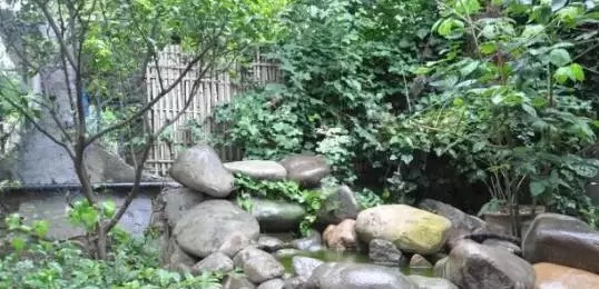 不养龟怎么知道养龟人的乐趣,你没养过狗永远不知道养狗的快乐