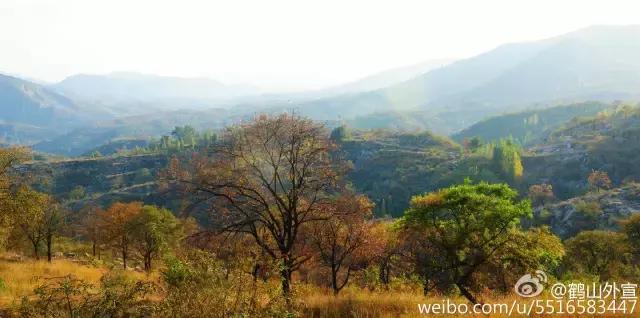 太太受委屈,太太委屈