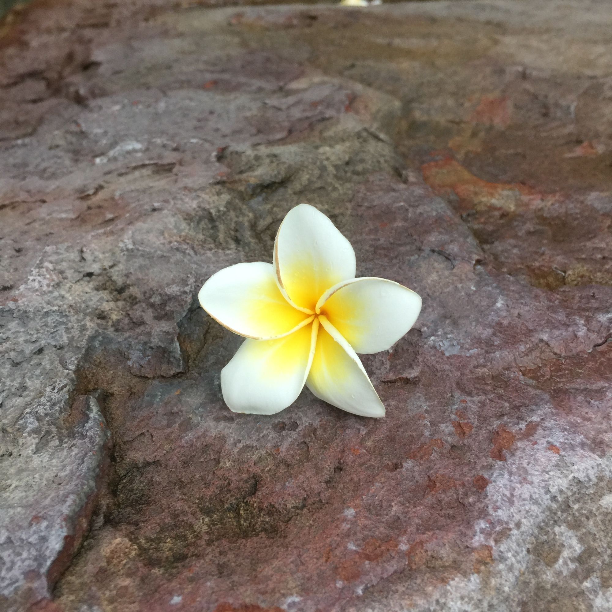 普吉岛七天自由行,十一去普吉岛旅游攻略