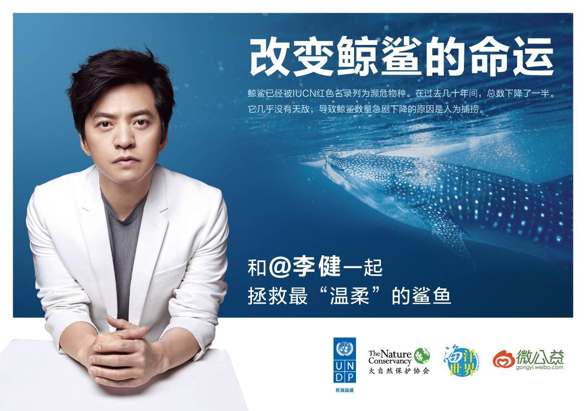 鲸鲨是温柔的还是凶残的,最善良的鲸鲨